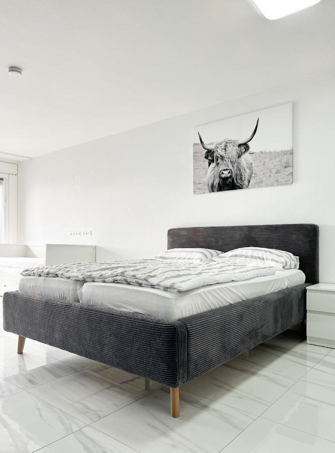 Modernes Apartment Mit Stil In City Lage كارلسروه المظهر الخارجي الصورة